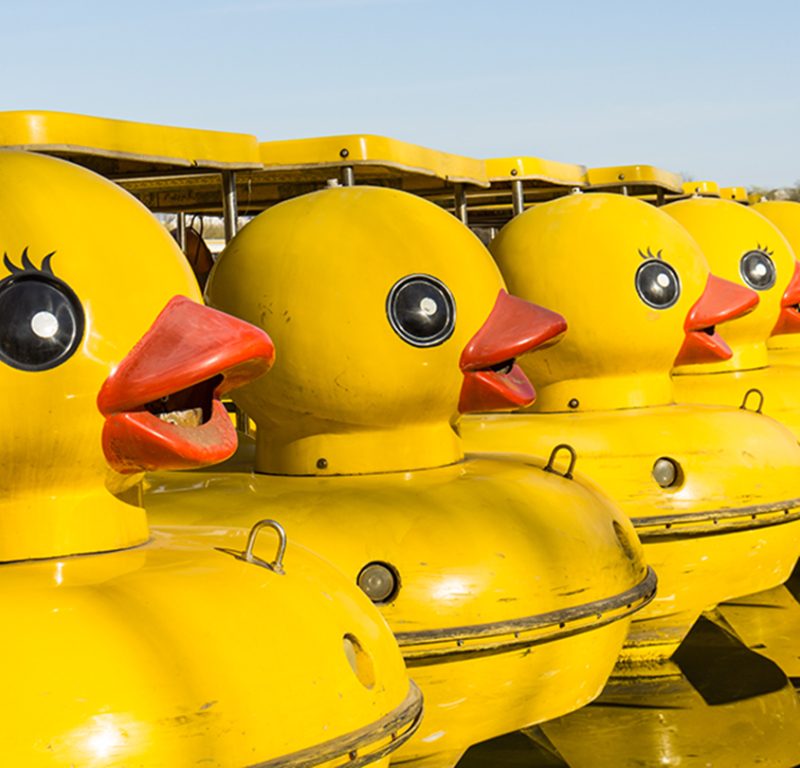 a row of yellow duck boats design & marketing news engagement marketing